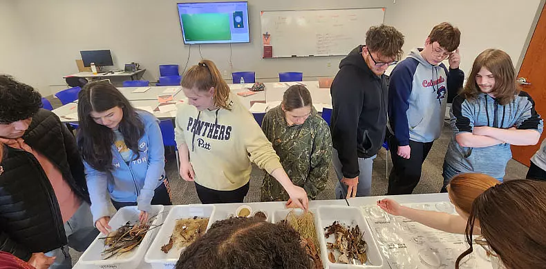 A group of students stands around tables examining various natural specimens laid out in white trays in a classroom setting. A whiteboard and a TV screen are visible in the background.