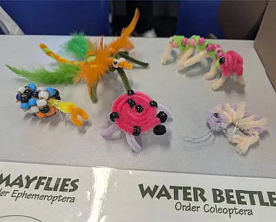 A display of colorful insect models made from pipe cleaners, beads, and feathers is shown on a table near labels for 