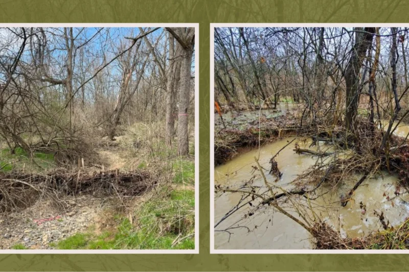Side-by-side photos of a forested stream area. Left image (Before) shows a dry, rocky streambed. Right image (After) shows the same area flooded with muddy water, submerging the streambed and some vegetation.