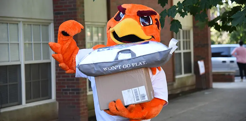 A person in an orange bird mascot costume holds a large pillow and a cardboard box outside a brick building, with trees and a parked vehicle in the background.