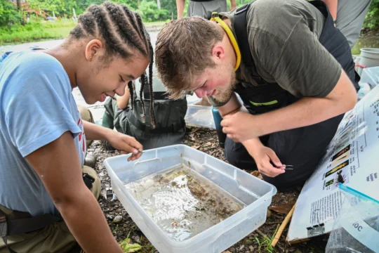 Two people kneel outdoors beside a clear plastic bin filled with water and various small objects, examining its contents closely and smiling. Nearby, an information board and tools support their environmental education activity.